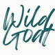 Wild Goat